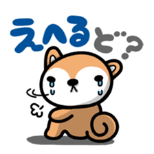 Dialect of Akita and Akita dog Roy 2 sticker #837928