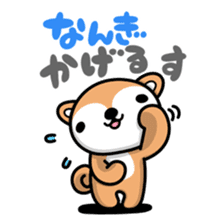 Dialect of Akita and Akita dog Roy 2 sticker #837931