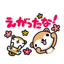 Dialect of Akita and Akita dog Roy 2 sticker #837932