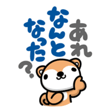 Dialect of Akita and Akita dog Roy 2 sticker #837939