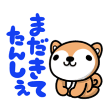 Dialect of Akita and Akita dog Roy 2 sticker #837956
