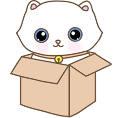 Cats in Box