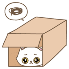 Cats in Box sticker #844724