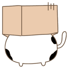 Cats in Box sticker #844725