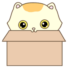 Cats in Box sticker #844730