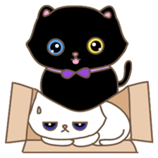 Cats in Box sticker #844731