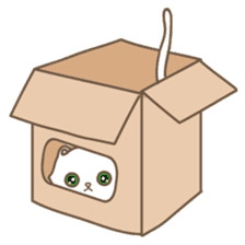 Cats in Box sticker #844738