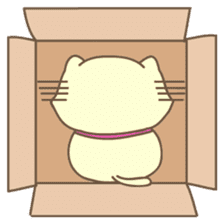 Cats in Box sticker #844742