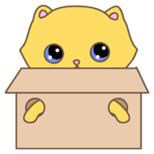 Cats in Box sticker #844745