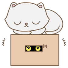 Cats in Box sticker #844746