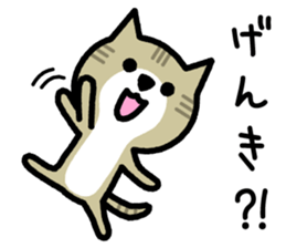 Friendly Cat sticker #845632