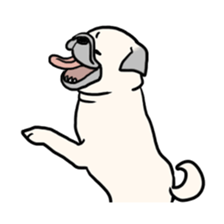 Wriggling Pug sticker #845839