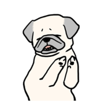Wriggling Pug sticker #845845