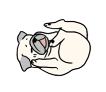 Wriggling Pug sticker #845846
