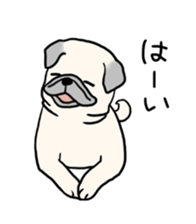 Wriggling Pug sticker #845851