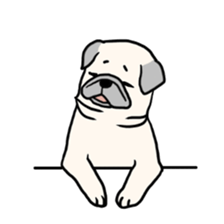 Wriggling Pug sticker #845859