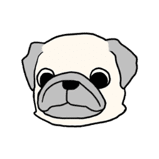 Wriggling Pug sticker #845863