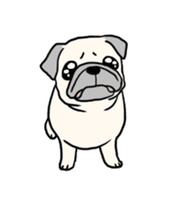 Wriggling Pug sticker #845869