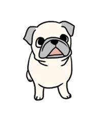 Wriggling Pug sticker #845870