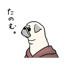 Wriggling Pug sticker #845871