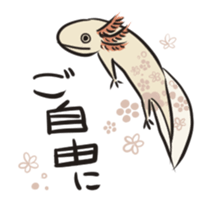 Floral design axolotl sticker #846919