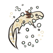 Floral design axolotl sticker #846921