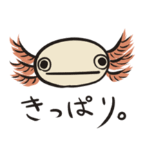 Floral design axolotl sticker #846929