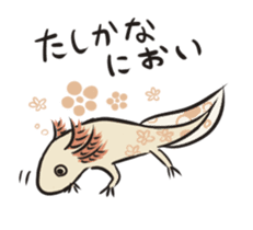 Floral design axolotl sticker #846934