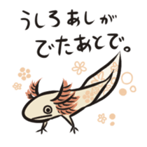 Floral design axolotl sticker #846941
