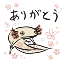 Floral design axolotl sticker #846951