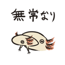 Floral design axolotl sticker #846953