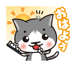 Bicolor cat Eight sticker #847799