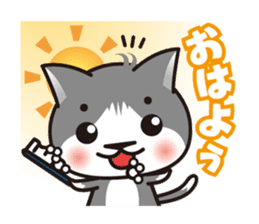 Bicolor cat Eight sticker #847799