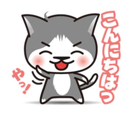 Bicolor cat Eight sticker #847801