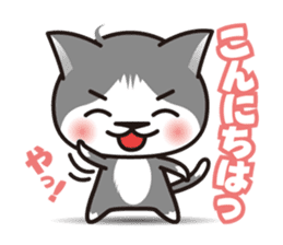 Bicolor cat Eight sticker #847801