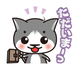 Bicolor cat Eight sticker #847804