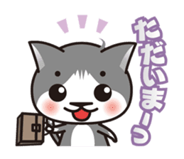 Bicolor cat Eight sticker #847804