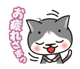 Bicolor cat Eight sticker #847806
