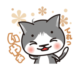 Bicolor cat Eight sticker #847808