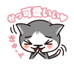 Bicolor cat Eight sticker #847811