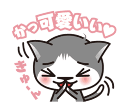 Bicolor cat Eight sticker #847811