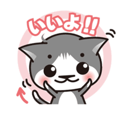 Bicolor cat Eight sticker #847813