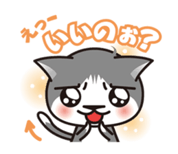 Bicolor cat Eight sticker #847814