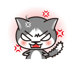 Bicolor cat Eight sticker #847816