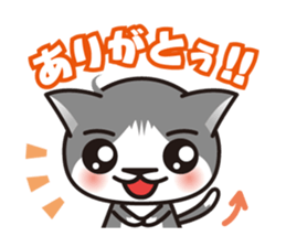 Bicolor cat Eight sticker #847817