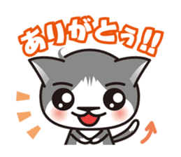 Bicolor cat Eight sticker #847817