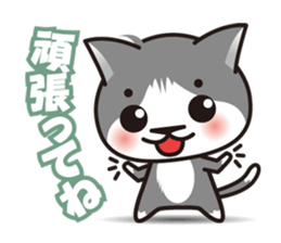 Bicolor cat Eight sticker #847821