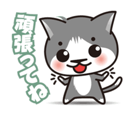 Bicolor cat Eight sticker #847821