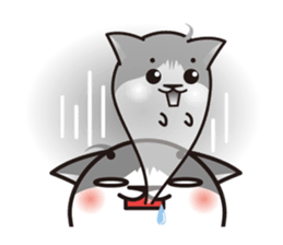 Bicolor cat Eight sticker #847830