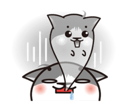 Bicolor cat Eight sticker #847830